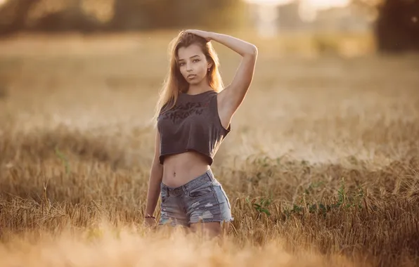 Поле, взгляд, девушка, солнце, пейзаж, секси, поза, модель