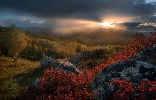 Картинка осень, лес, солнце, лучи, деревья, закат, холмы, Павел Силиненко