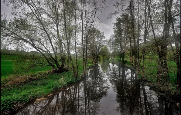 Зелень, вода, отражения, деревья, тучи, nature, water, Trees