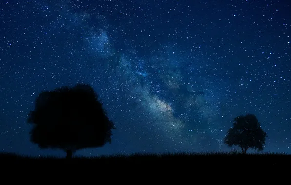Summer, white, grass, black, trees, blue, land, stars