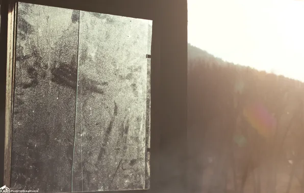 Солнце, Деревья, Окно, Wood, Sun, Window