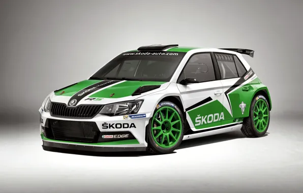 Картинка WRC, Rally, Skoda, Fabia