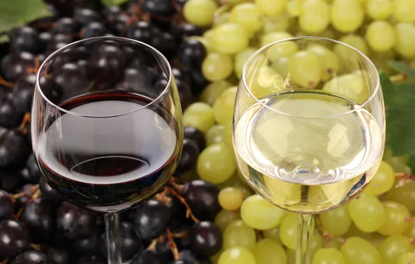 Вино, красное, белое, бокалы, виноград