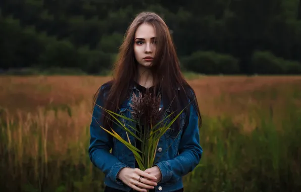 Поле, трава, взгляд, девушка, деревья, модель, портрет, руки