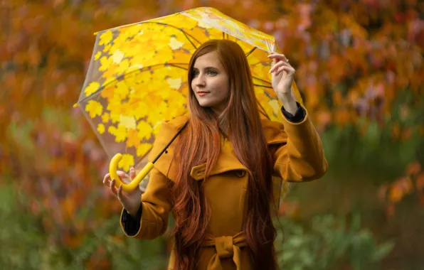 Осень, лес, взгляд, девушка, природа, поза, парк, листва