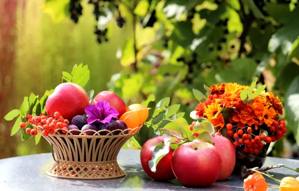 Картинка листья, цветы, стол, корзина, яблоки, фрукты, натюрморт, сливы