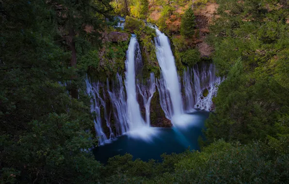 Картинка лес, река, водопад, Калифорния, каскад, California, Burney Falls, Burney Creek
