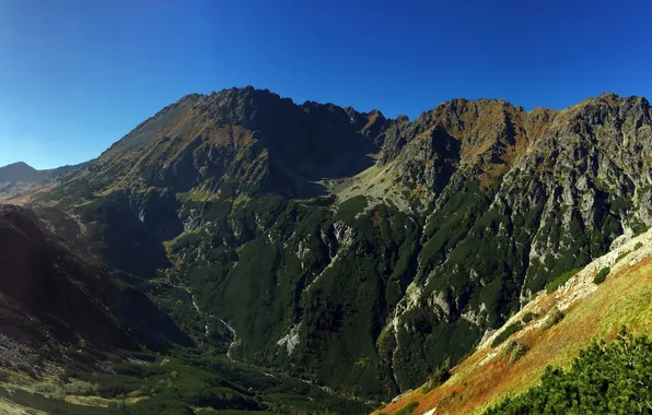 Картинка горы, скалы, долина, Польша, ущелье, Zakopane, Tatry