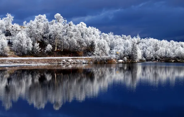 Картинка зима, небо, деревья, отражение, река, иний