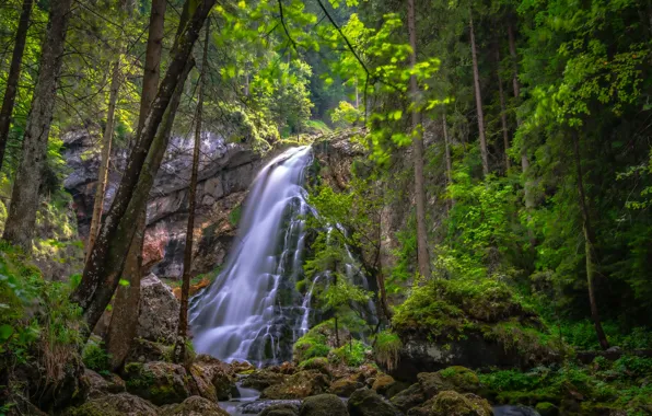 Лес, деревья, скала, камни, водопад, Австрия, каскад, Austria