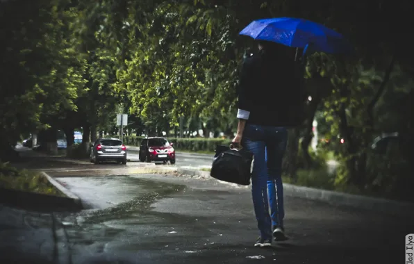 Картинка дождь, фотограф, погода, photography, photographer, Ilya Klad, Илья Кладь