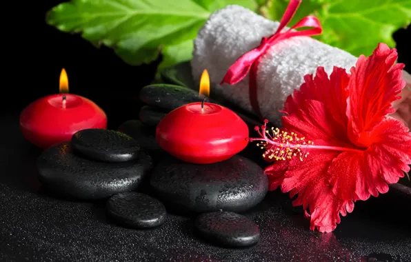 Flowers, Spa, background, спа, candles, spa stones