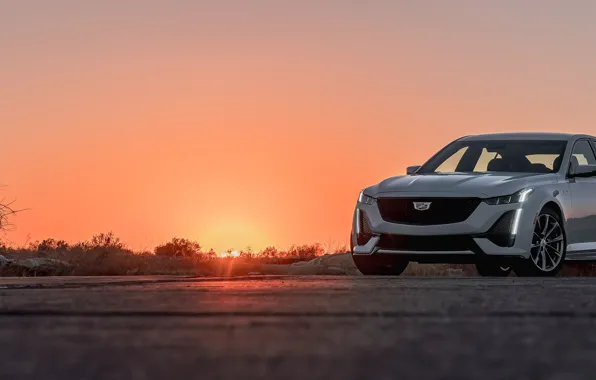 Cadillac, 2020, CT5