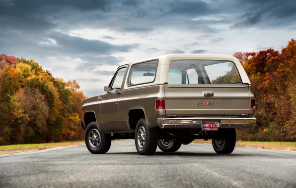 Chevrolet, сзади, 2020, K5 Blazer-E Concept