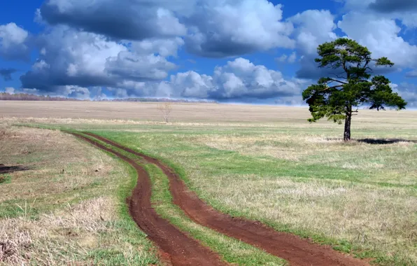 Картинка дорога, поле, небо, деревья