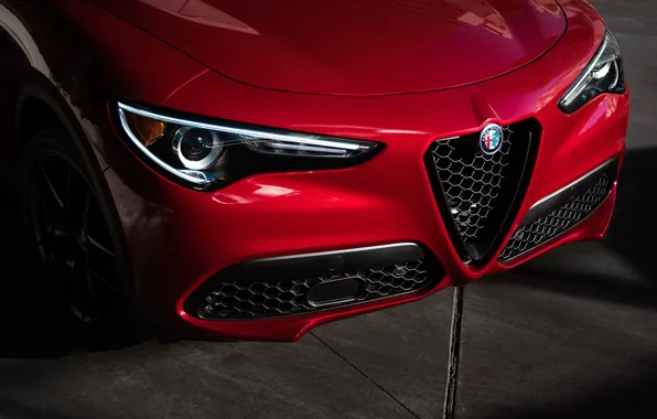 Фары, Alfa Romeo, вид спереди, 2018, кроссовер, Stelvio, Nero Edizione