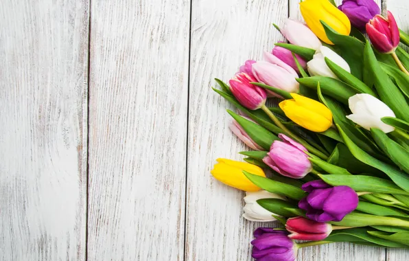 Цветы, букет, colorful, тюльпаны, pink, flowers, tulips, spring