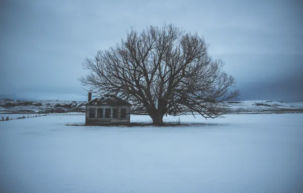 House, winter, clouds, snow, tree, hills, branches, abandoned