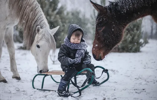 Картинка зима, кони, мальчик