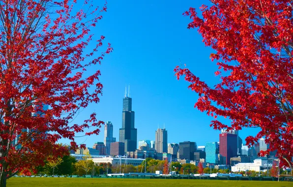 Картинка осень, небо, трава, деревья, город, парк, Чикаго, США