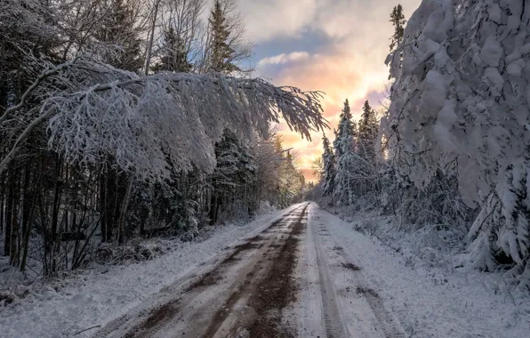Зима, дорога, лес, закат, природа