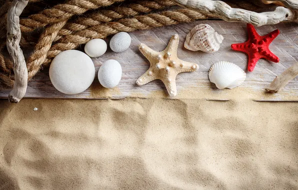 Песок, пляж, лето, ракушки, summer, beach, sand, marine