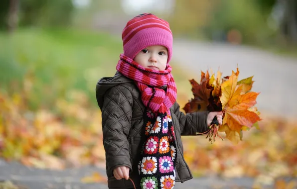 Картинка осень, шапка, букет, шарф, куртка, ребёнок, кленовые листья