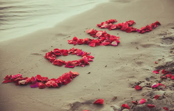 Картинка песок, пляж, любовь, романтика, лепестки, love, beach, sea