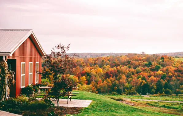 Картинка USA, United States, Pennsylvania, America, United States of America, Pocono Mountains, Red Barn at Calkins …
