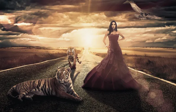 Дорога, девушка, птица, поля, платье, тигры, Andreza Alves