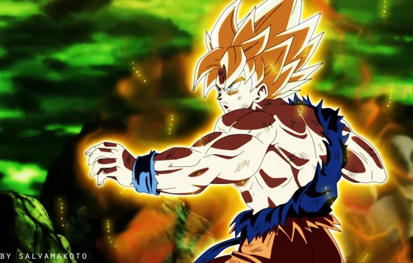 Фон, парень, боец, Dragon Ball, Драконий жемчуг