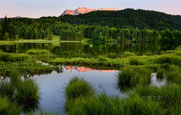 Картинка лес, лето, пейзаж, горы, водоём, Michael Breitung