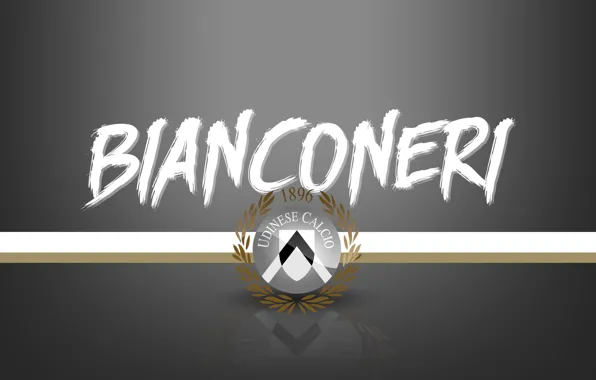 Wallpaper, sport, logo, football, Serie A, Bianconeri, Udinese
