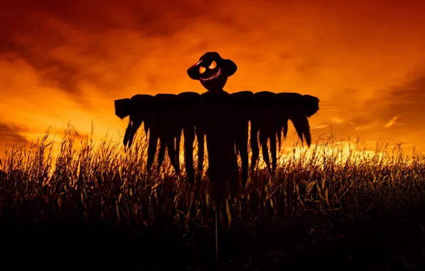Картинка поле, ночь, scarecrow