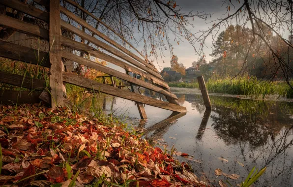 Картинка осень, пейзаж, природа, забор, речушка, Андрей Чиж
