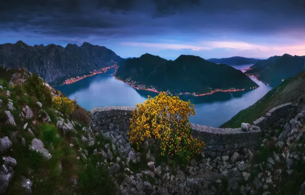 Горы, куст, панорама, залив, ночной город, Черногория, Котор, Montenegro