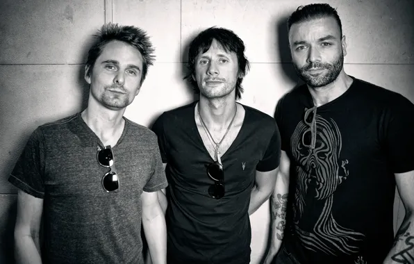 Muse, Крис Уолстенхолм, Мэттью Беллами, Доминик Ховард, британская рок-группа
