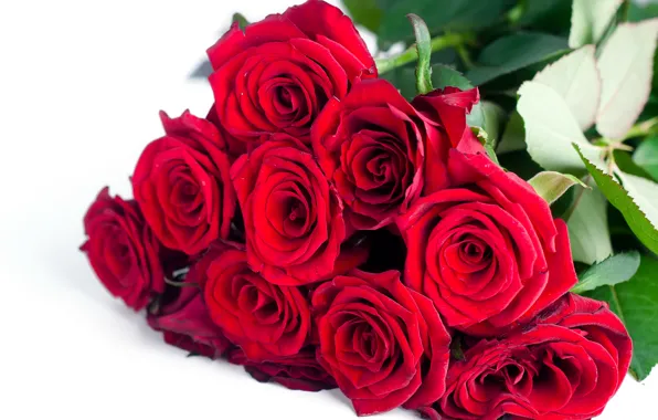 Картинка цветы, розы, букет, красные, red, flowers, beautiful, romantic
