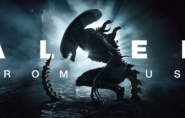 Картинка Movies, Xenomorph, 2024 Movies, Alien: Romulus