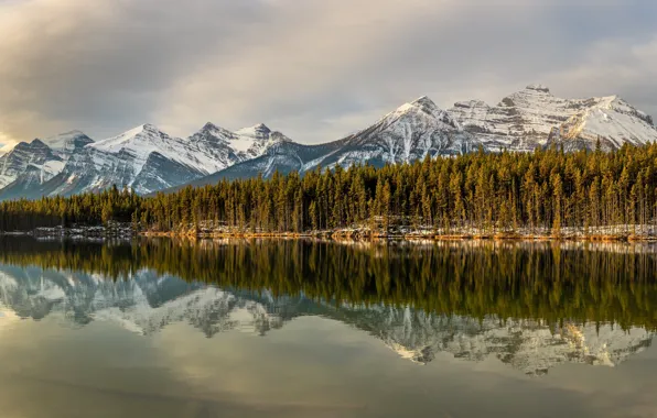 Картинка лес, горы, озеро, отражение, Канада, Альберта, Banff National Park, Alberta
