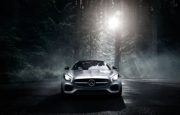Картинка Mercedes-Benz, Dark, Front, AMG, Sun, Color, Silver, Forest