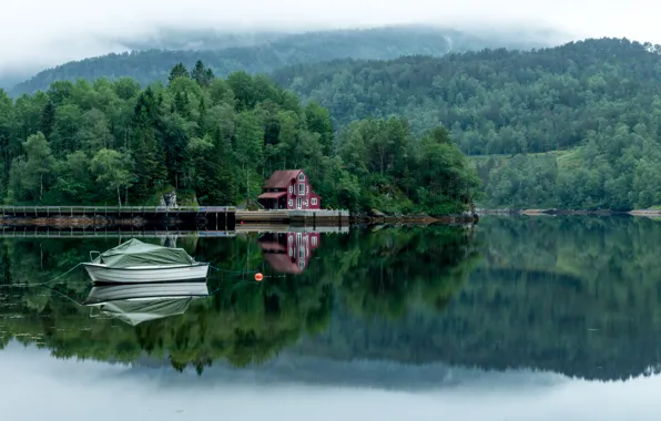 Картинка лес, деревья, туман, озеро, дом, лодка, Пейзажи