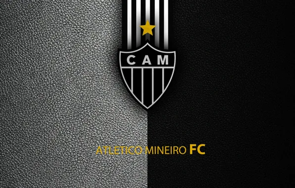 Wallpaper, sport, logo, football, Atletico Mineiro, Brazilian Serie A