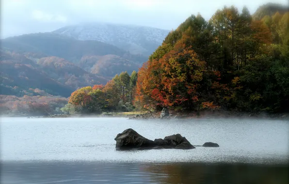 Картинка осень, лес, деревья, горы, озеро, камень