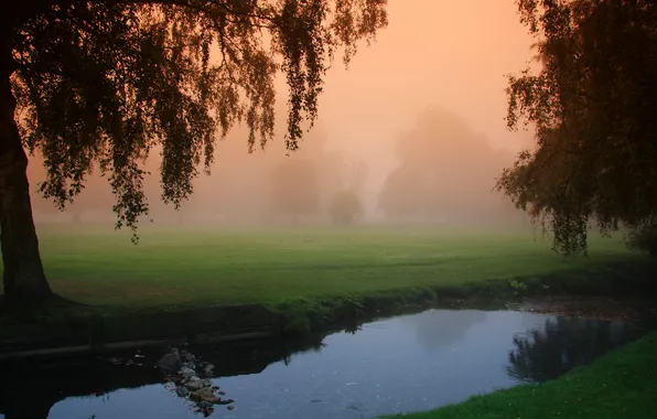Картинка деревья, природа, туман, утро, канал