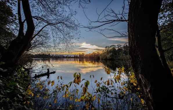 Природа, озеро, утро