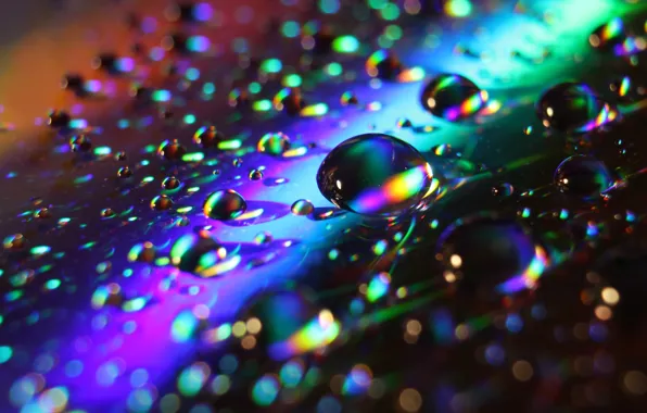 Abstract, water, drops