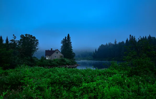 Картинка зелень, лес, вода, деревья, туман, дом, Канада, речка
