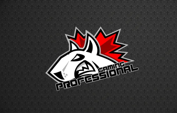 Wallpaper, logo, game, minimalism, professional, gaming, dota2, pfgaming