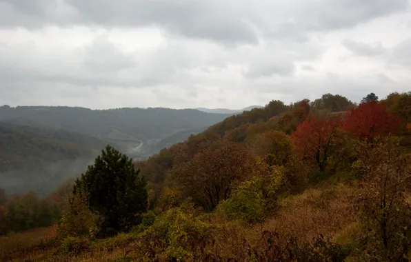 Картинка горы, туман, холмы, Осень, autumn, mountains, fog, fall